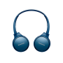 Наушники Panasonic RP-HF410BGC-A