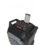 Колонка для вечеринок Ritmix SP-850B