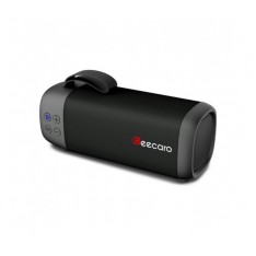 Портативная колонка Beecaro GF401 (черный)