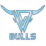 Bulls Bulls